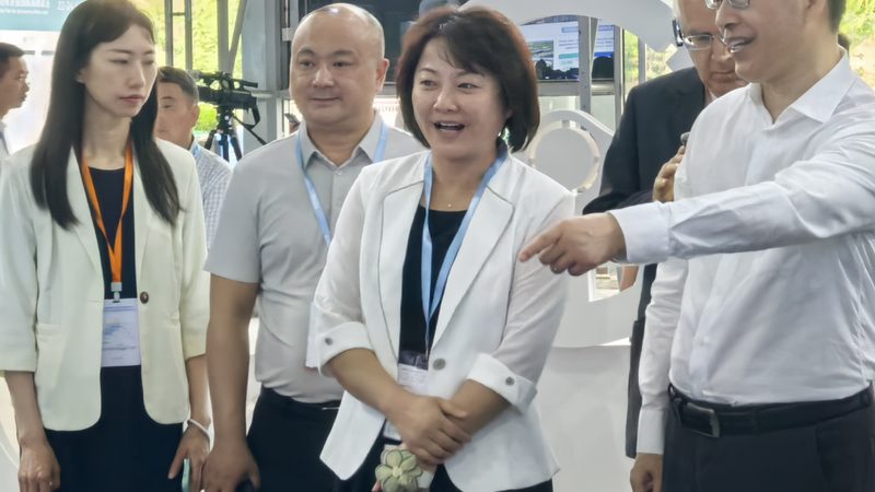 汽车脚踏板安装：步骤详解与注意事项